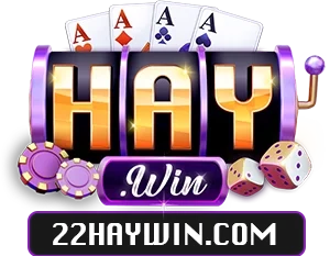 22haywin.com